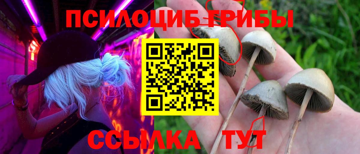 Псилоцибиновые грибы Magic Shrooms Коломна