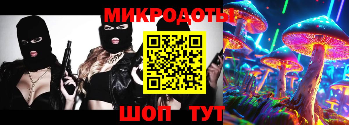 Псилоцибиновые грибы Psilocybine cubensis  Вход с VPN  Коломна 